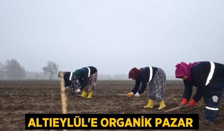 27986273042743025070