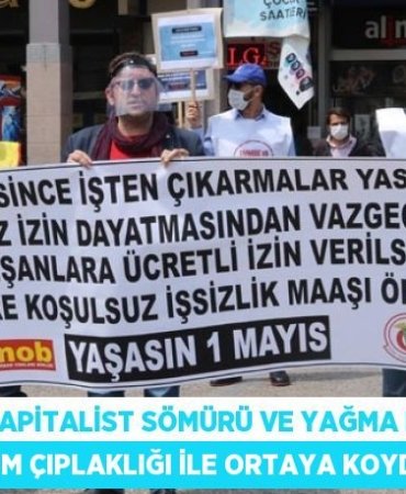 28234203192632820469tasarimli