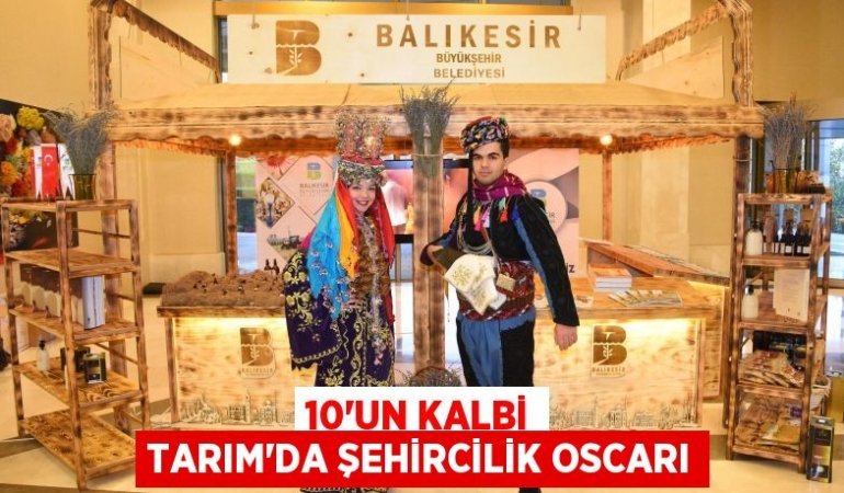 28403303992116331234tasarimli