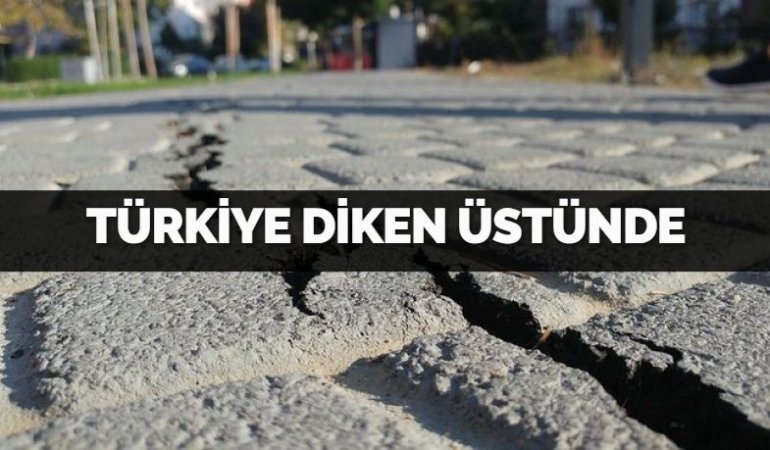 28531266052575624484