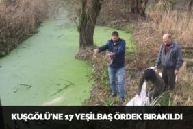 28572247632406927662