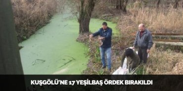 28572247632406927662