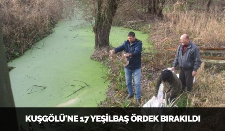 28572247632406927662