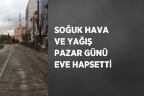 28614277813199428160