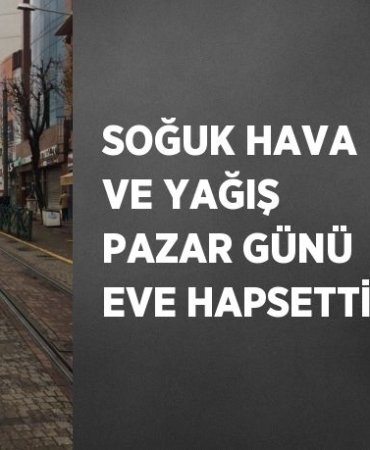 28614277813199428160