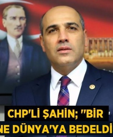 CHP’li ŞAHİN; ‘’Bir Anne Dünya’ya Bedeldir!’’