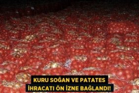 28629312332088821886tasarimli