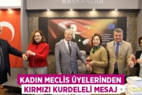 28638205153100426502tasarimli