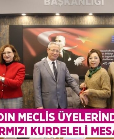 28638205153100426502tasarimli