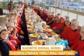 28910228052360921033tasarimli