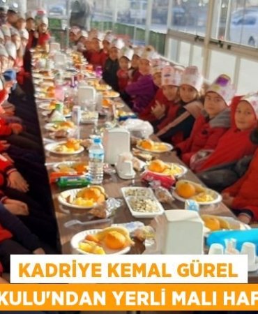 28910228052360921033tasarimli