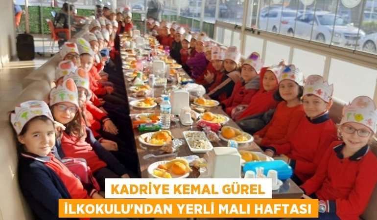 28910228052360921033tasarimli