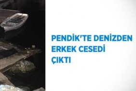 29109201152076724421