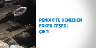 29109201152076724421