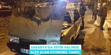 29251290153112828400tasarimli