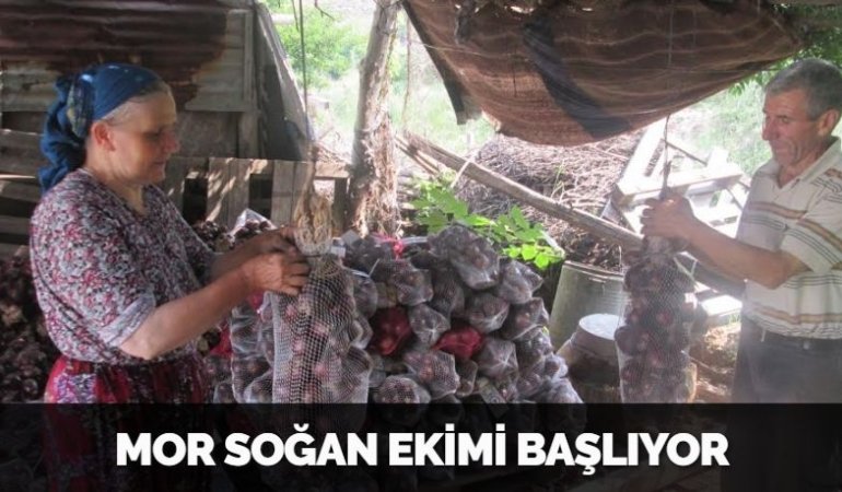 29257281692971731066