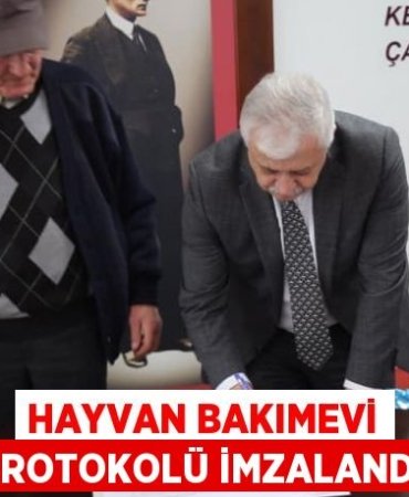 29550247513114223547tasarimli