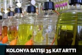 29551258352666428034