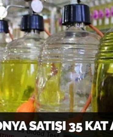 29551258352666428034