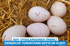 29663230182183323199tasarimli