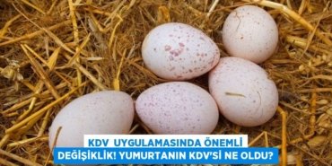 29663230182183323199tasarimli