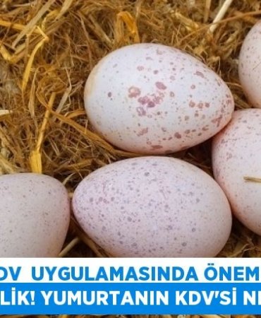 29663230182183323199tasarimli