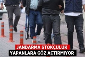 29733318992505427822tasarimli