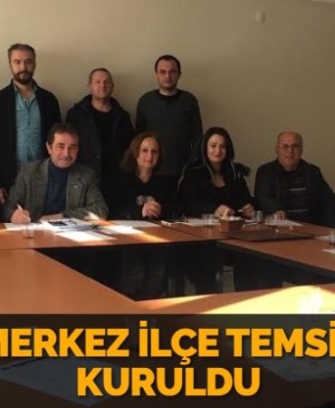 29913295862197531217