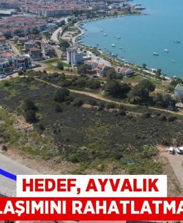 29956264132158026098tasarimli