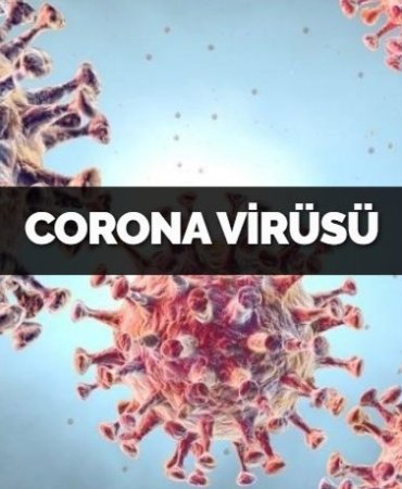 30074296322513821786