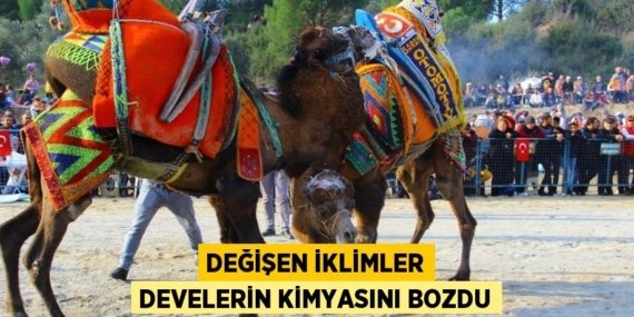 30088310703012130182tasarimli