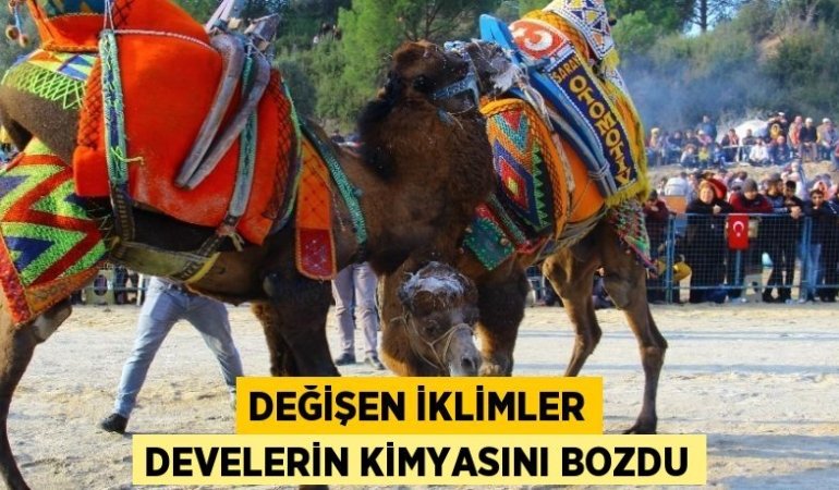 30088310703012130182tasarimli