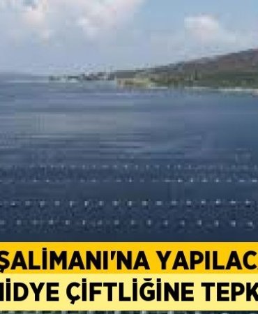 30188294062022722813tasarimli