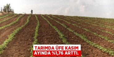 30289226542705729576tasarimli