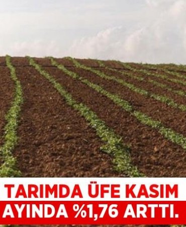 30289226542705729576tasarimli