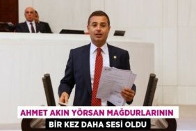 30366245732039525860tasarimli