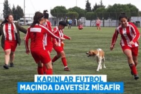 30480254432682030985tasarimli