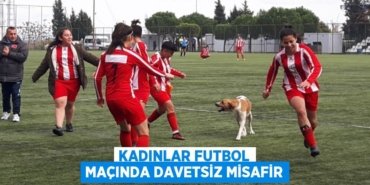 30480254432682030985tasarimli