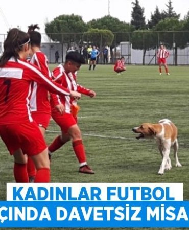 30480254432682030985tasarimli