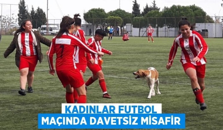 30480254432682030985tasarimli