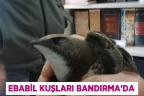 30508266963041930568