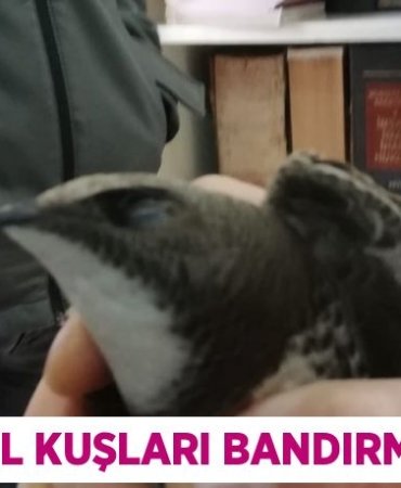 30508266963041930568