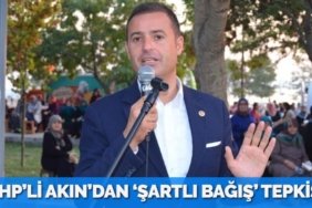 30556206392831121567