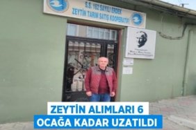 30621289922955027328tasarimli