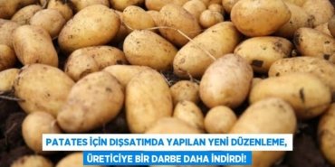 30661257012770629901tasarimli