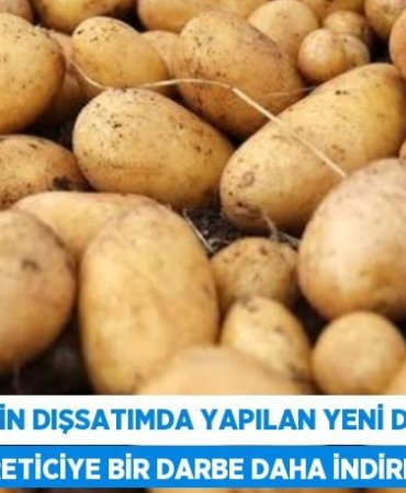 30661257012770629901tasarimli