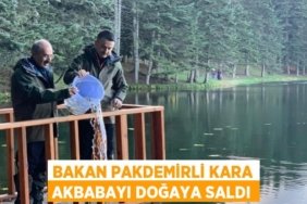 30746233692597420732tasarimli