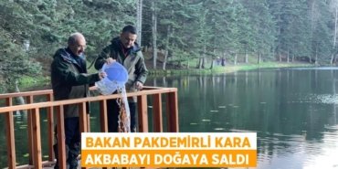 30746233692597420732tasarimli