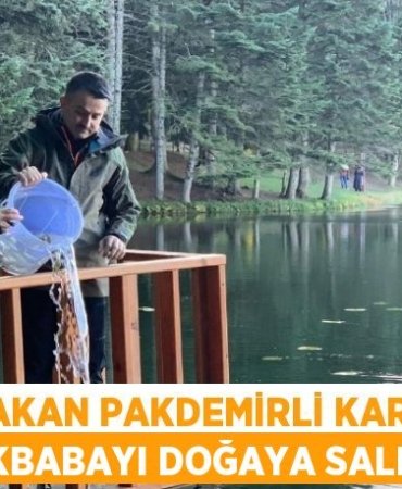 30746233692597420732tasarimli