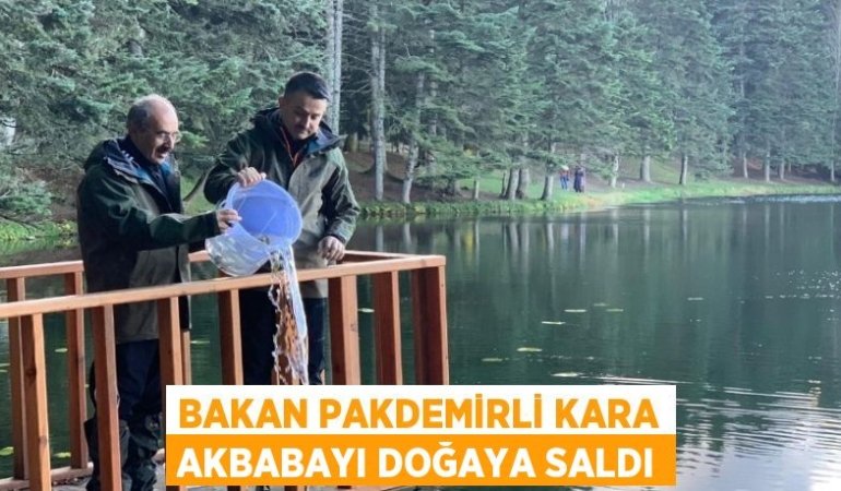 30746233692597420732tasarimli